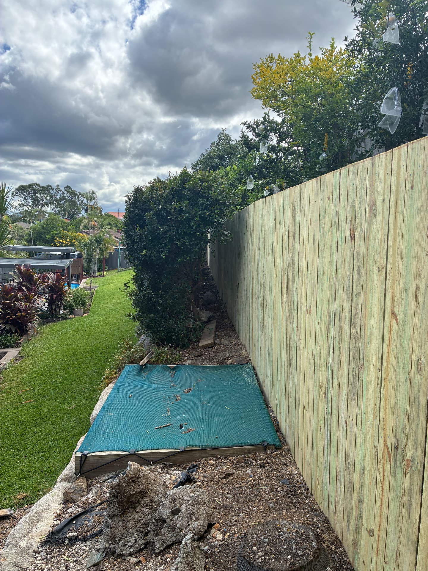 Timber paling fence along a residential boundary